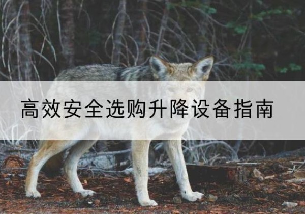 东西湖升降货梯厂家推荐-*安全选购升降设备指南