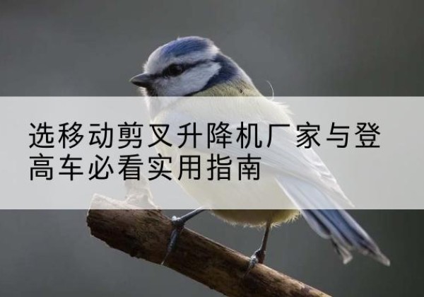 东西湖电动升降机厂家-选移动剪叉升降机厂家与登高车必看实用指南