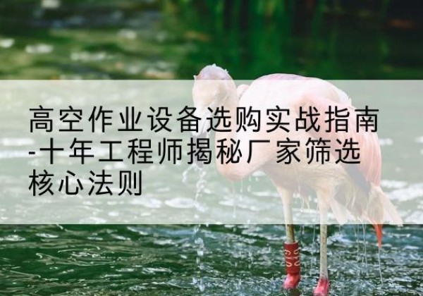 东西湖剪叉式升降机厂家-高空作业设备选购实战指南-十年工程师揭秘厂家筛选核心法则